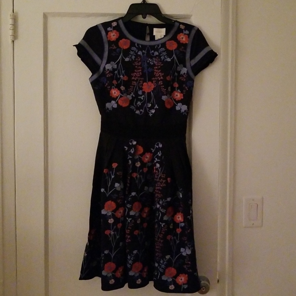 Foxiedox embroidered dress...beautiful!